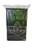 губка 5 шт. черная