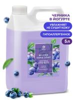 черника 5 л