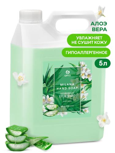 алоэ 5