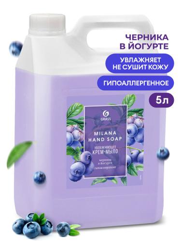 черника 5 л